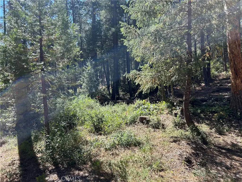 0 Coutelenc, Magalia, CA 95954 - #1