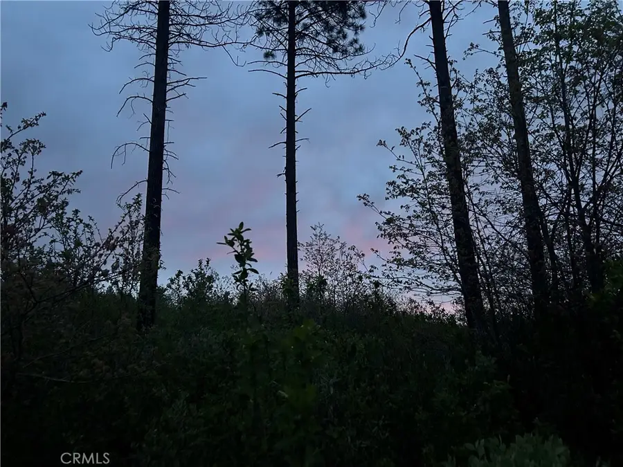 1 Hog Ranch Road, Concow, CA 95965 - #2