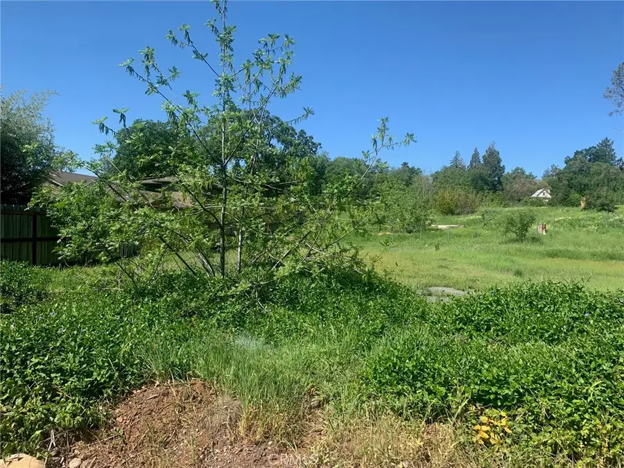 5295 Scottwood Drive, Paradise, CA 95969 - #3