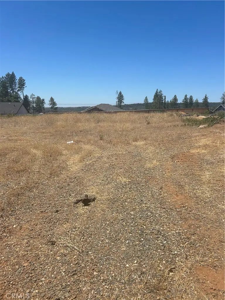 8675 Skyway, Paradise, CA 95969 - #1