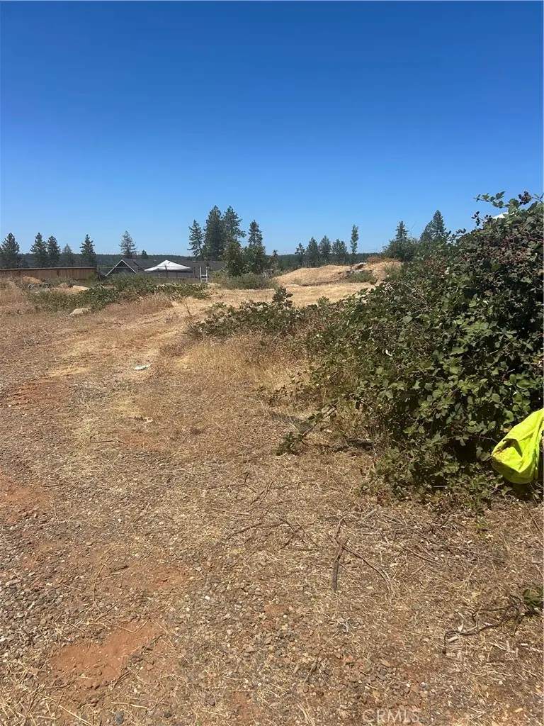 8675 Skyway, Paradise, CA 95969 - #2