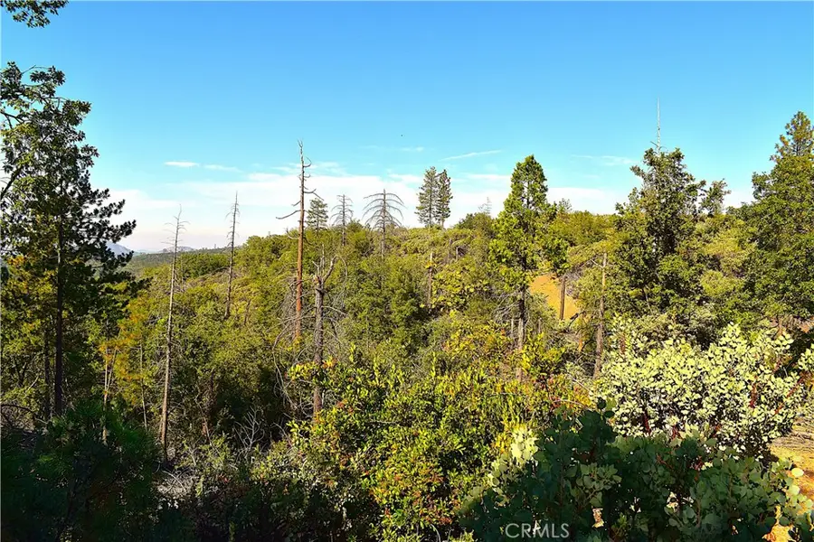 0 Incense Cedar Trl, Groveland, CA 95321 - Image #3