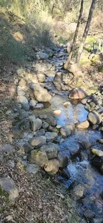 13566 Helltown, Chico, CA 95928 - Image #1