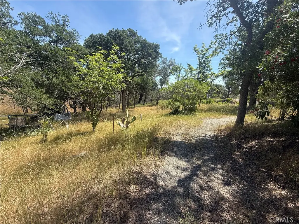 7274 Crazy Horse, Corning, CA 96021 - #1