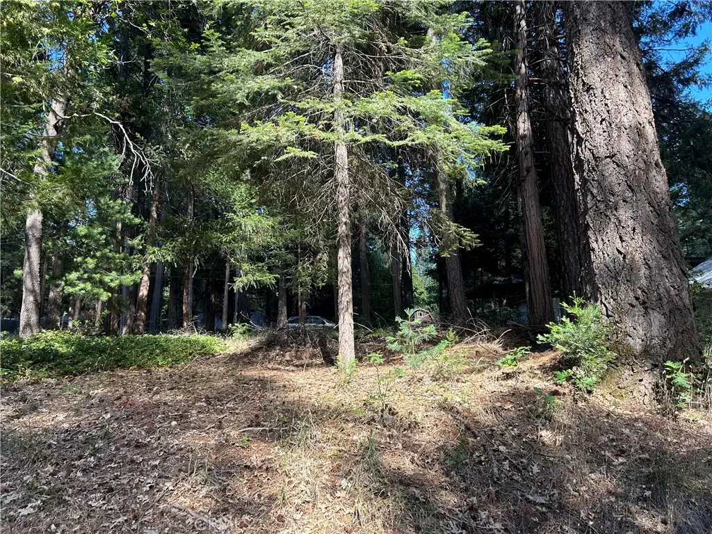 0 Bridgeport, Magalia, CA 95954 - #1