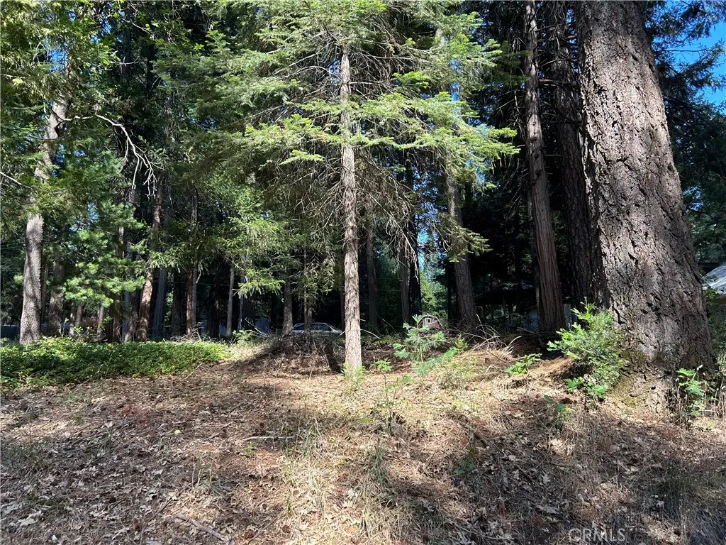 0 Asheville, Magalia, CA 95954 - #1