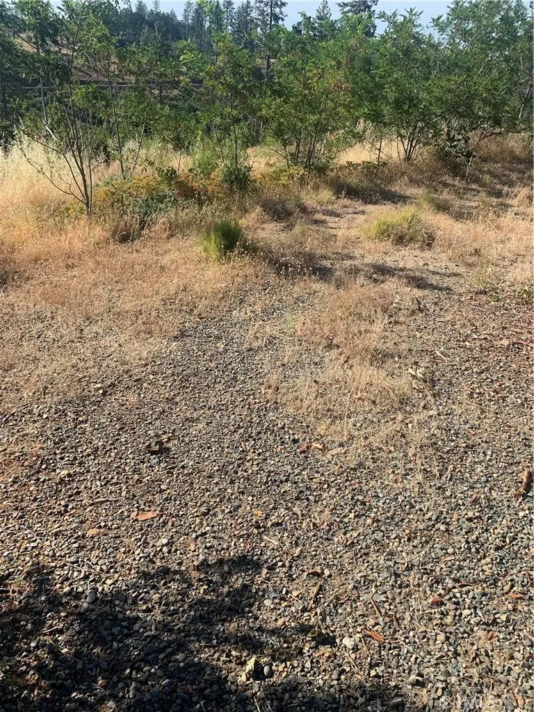 1797 Stearns Road, Paradise, CA 95969 - #1