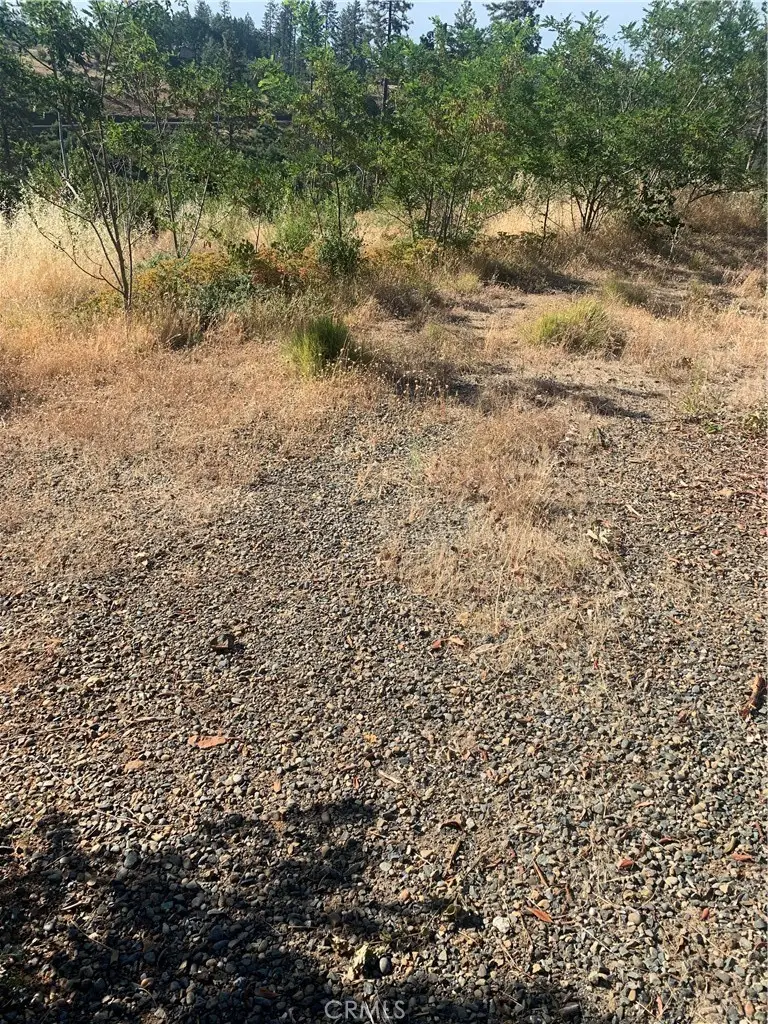 1797 Stearns Road, Paradise, CA 95969 - #3