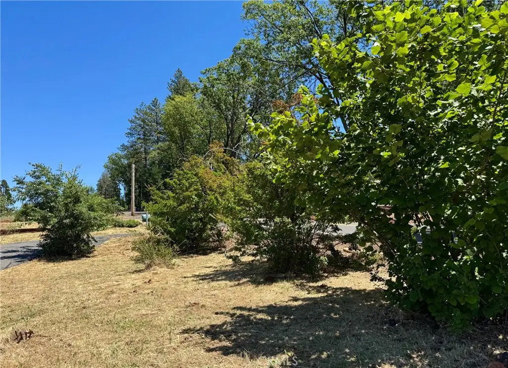 925 Wagstaff Road, Paradise, CA 95969 - #1