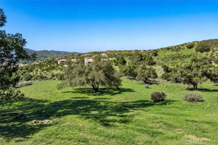 16220 Canyon Hills Road, Chino Hills, CA 91709 - #3
