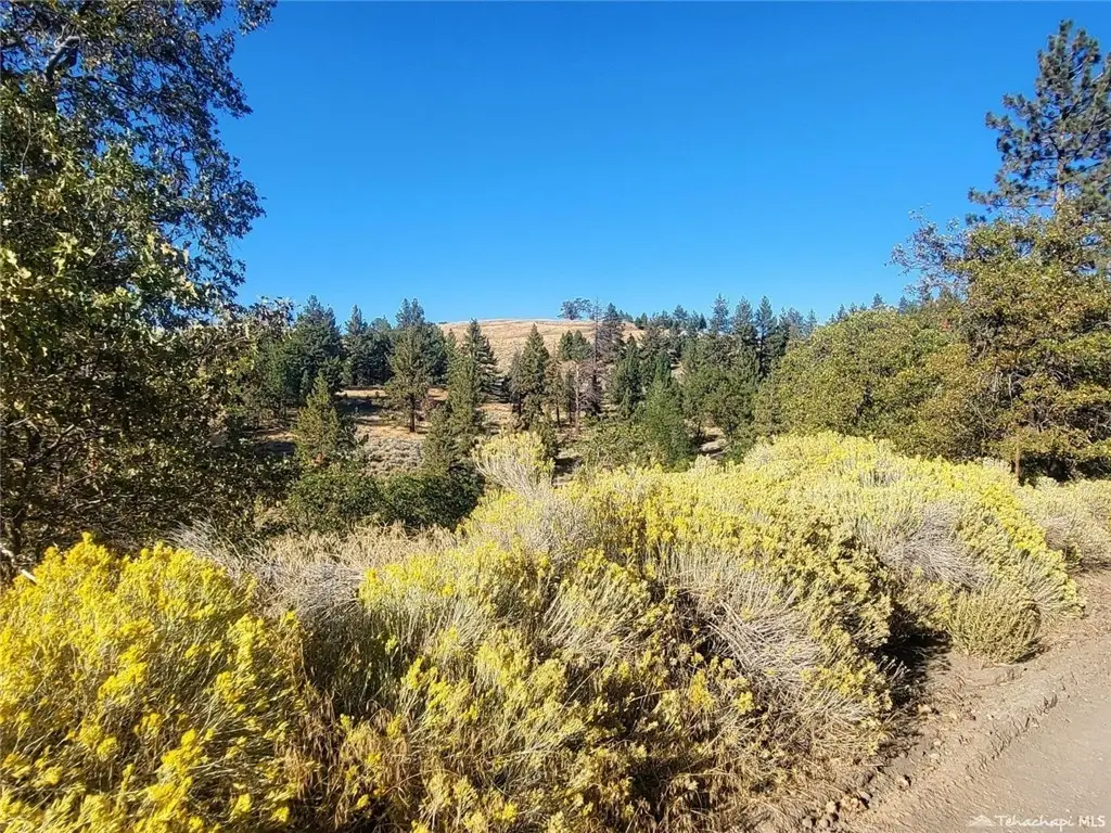 16851 Interlaken Street, Tehachapi, CA 93561 - #1