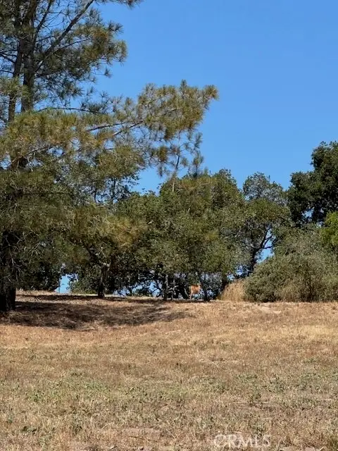 1089 Karina Way, Arroyo Grande, CA 93420 - #2