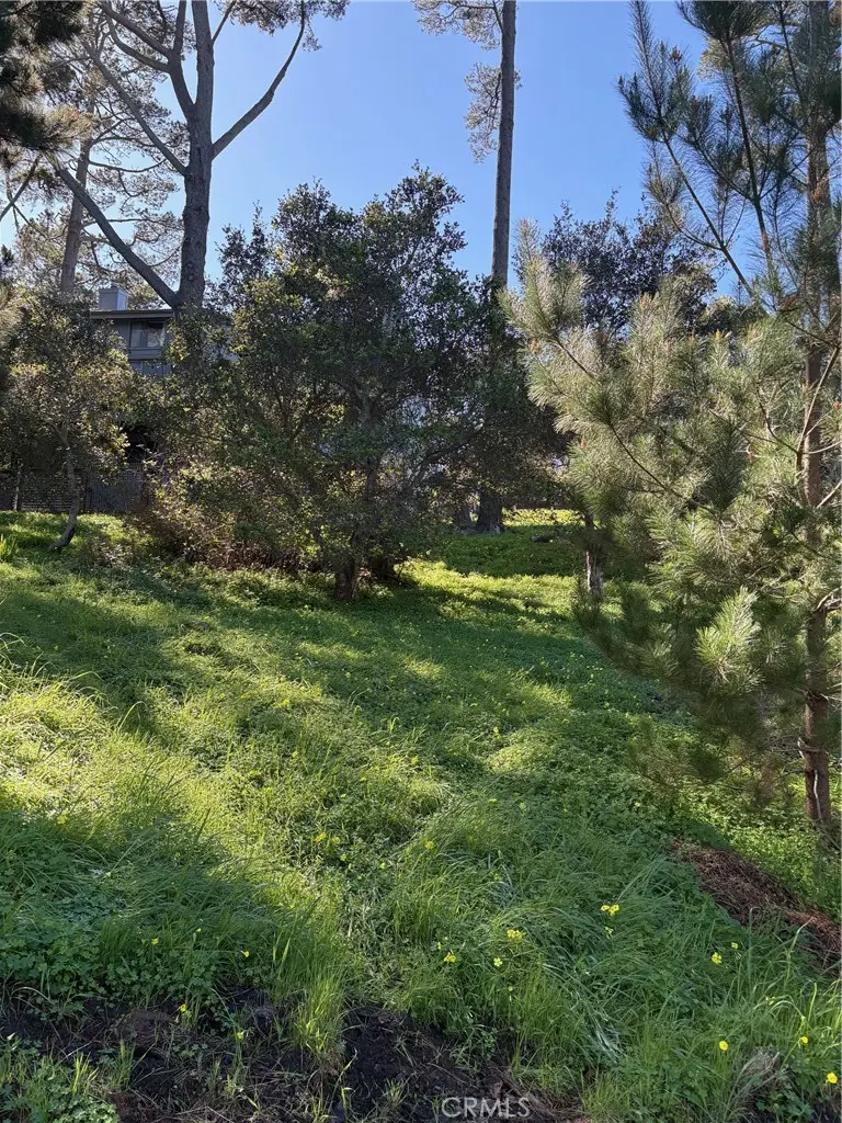 0 Spencer, Cambria, CA 93428 - #2