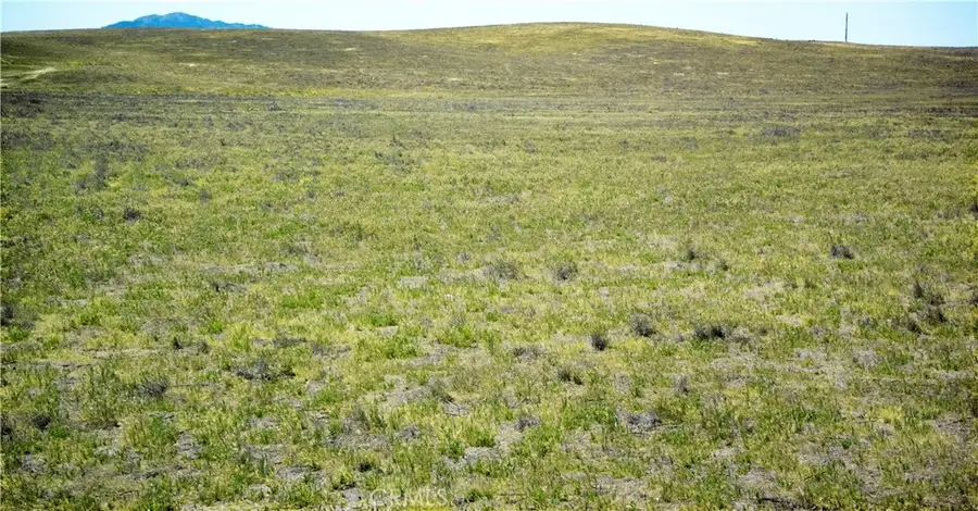 13250 Calipatria Road, Santa Margarita, CA 93453 - #3