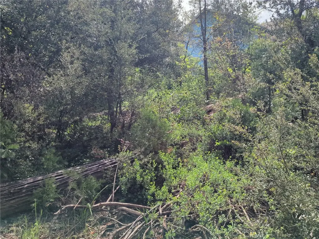 53309 Road 432, Bass Lake, CA 93604 - #1