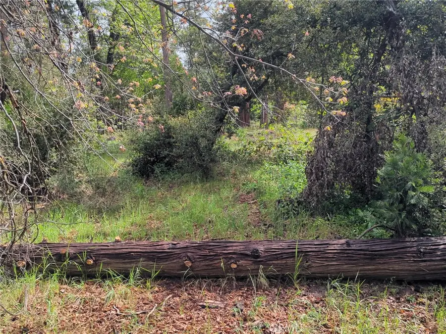 53309 Road 432, Bass Lake, CA 93604 - #3