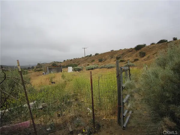 205 Castro Canyon Road, Cuyama, CA 93252