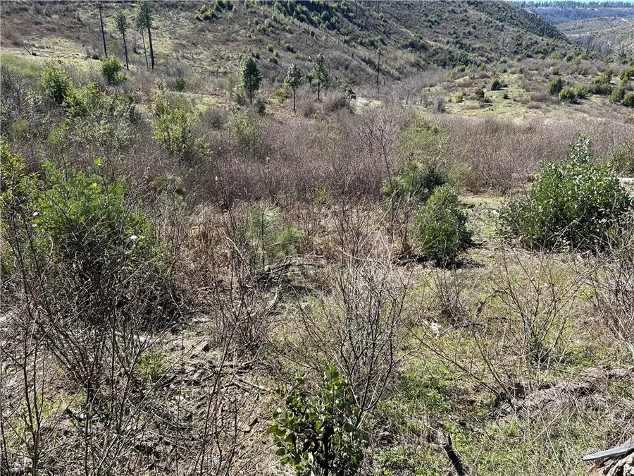 1234 Hog Ranch Rd, Oroville, CA 95965 - #2