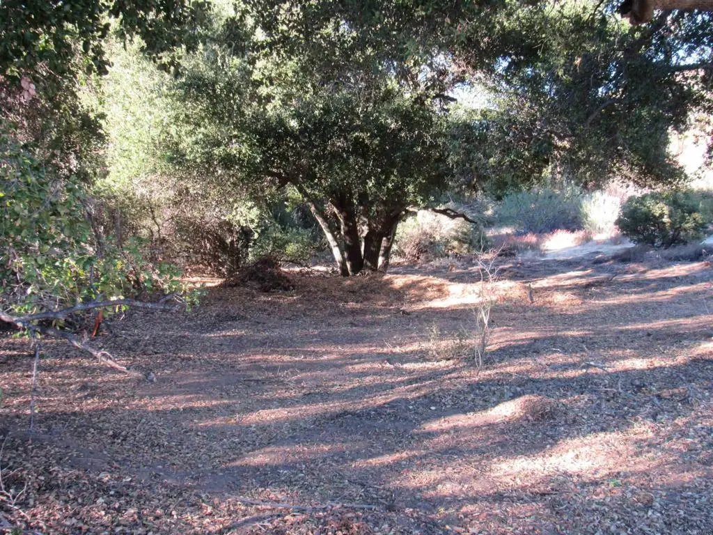2115 N Campo Truck Trail, Campo, CA 91906 - #1