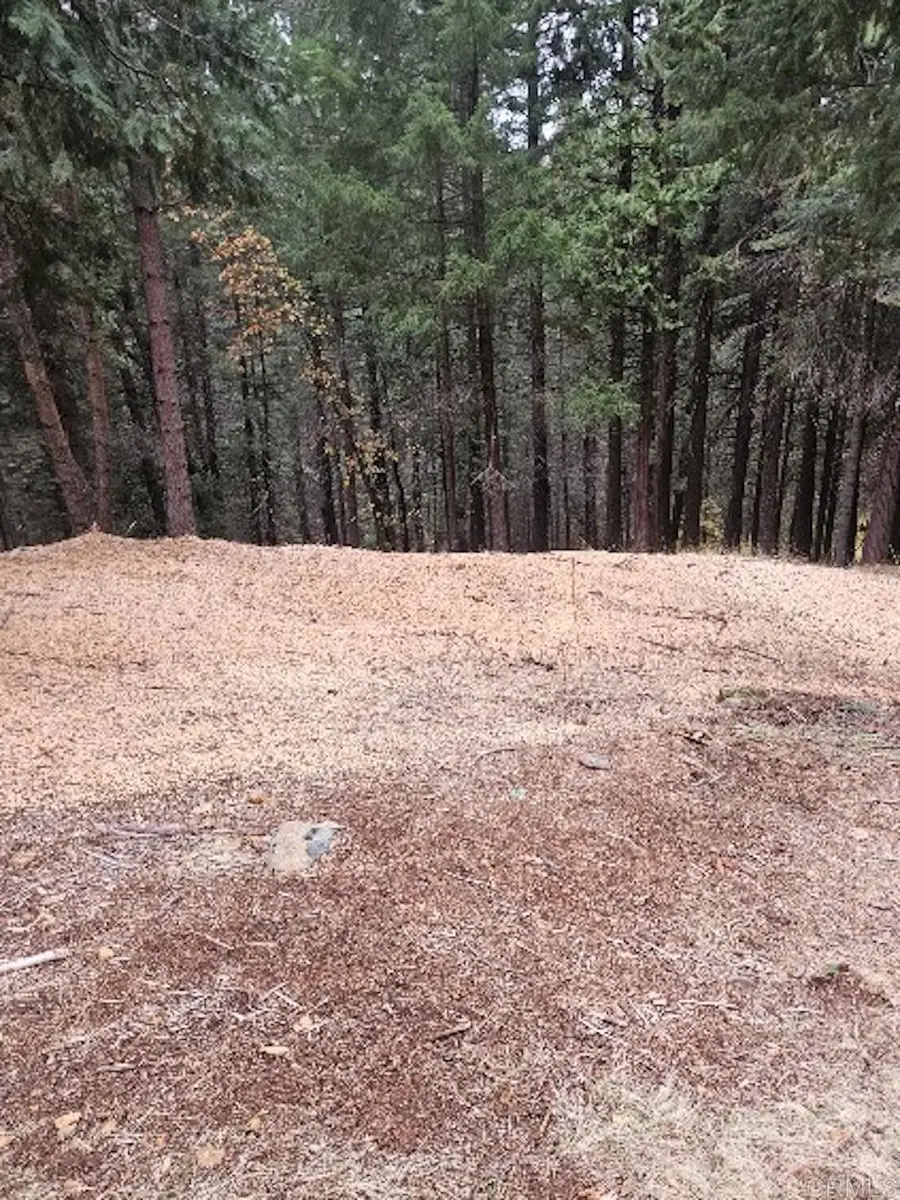 4952 Sierra Springs Drive, Pollock Pines, CA 95726 - Image #2