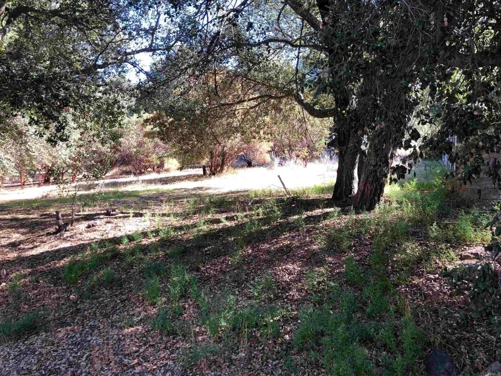 8347 Foothill Blvd, Pine Valley, CA 91962 - #1