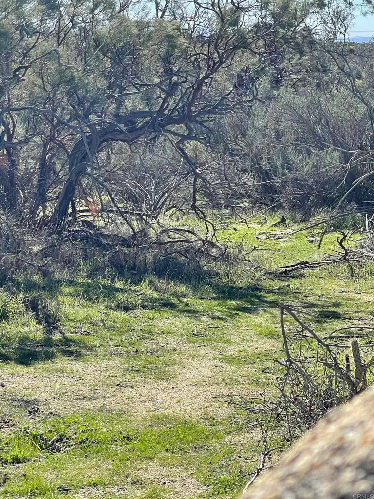 22 Tierra Del Sol Rd, Boulevard, CA 91905 - #2