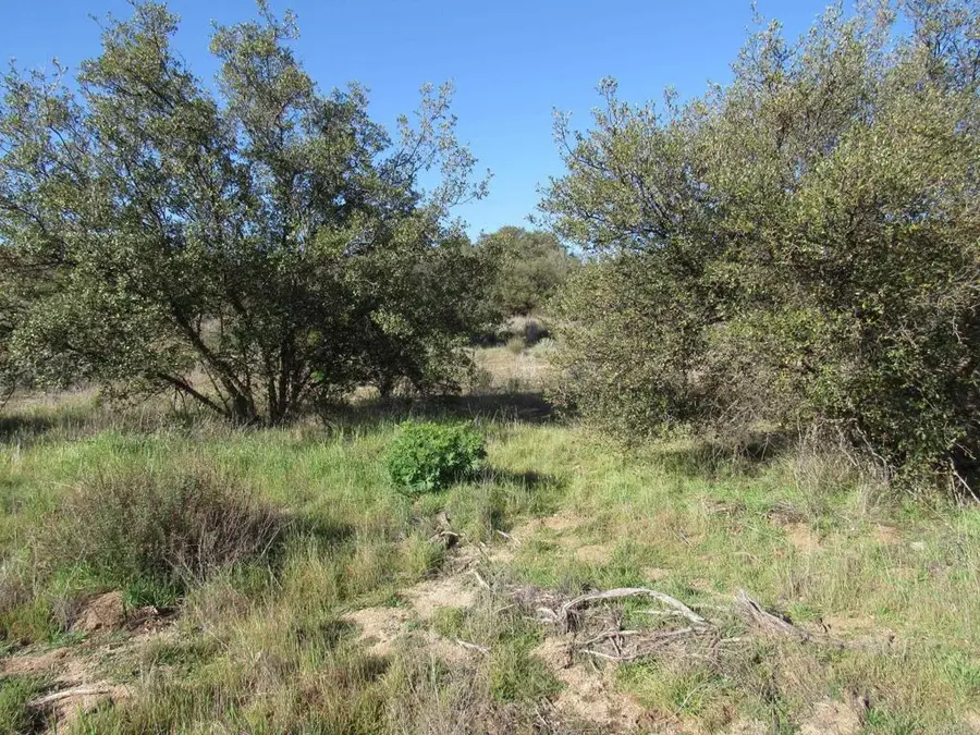 4 .38 acres Buckman Springs Rd, Campo, CA 91906 - #3