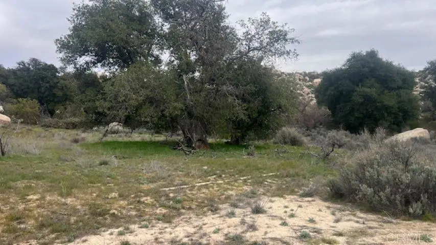 1400 Starship Lane, Jacumba, CA 91934 - #1