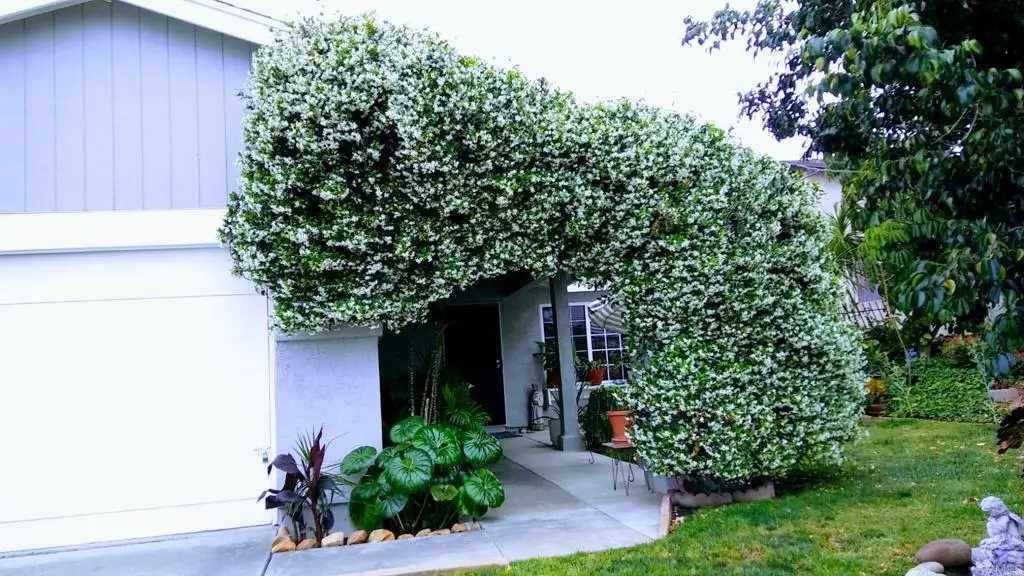 4777 Crooked Creek Ct., San Diego, CA 92113 - #1