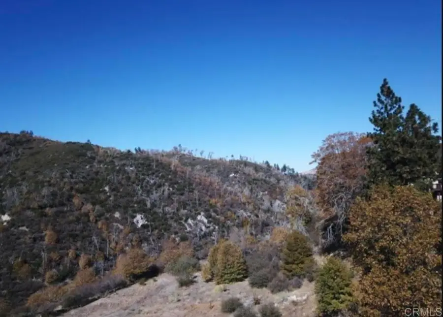 1036 Brentwood Drive, Lake Arrowhead, CA 92352 - #3