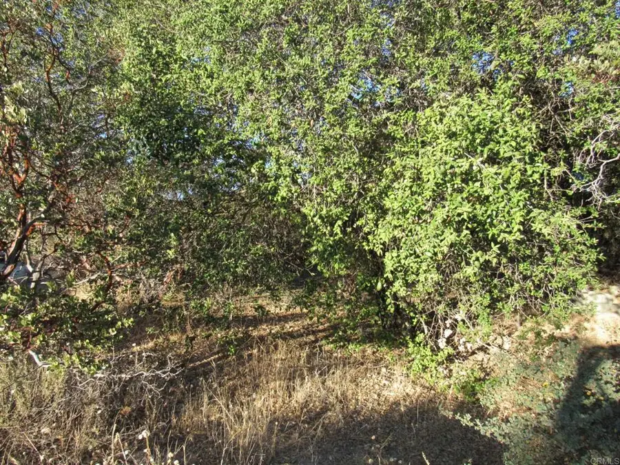 153.21 ACRES Old 80 And Hwy 94, Boulevard, CA 91905 - #3