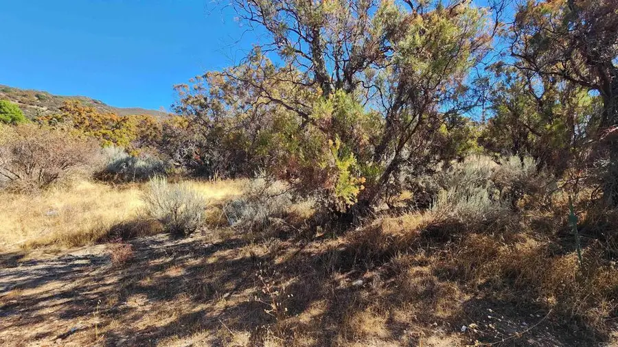 0 Highway 79, Warner Springs, CA 92086 - #2