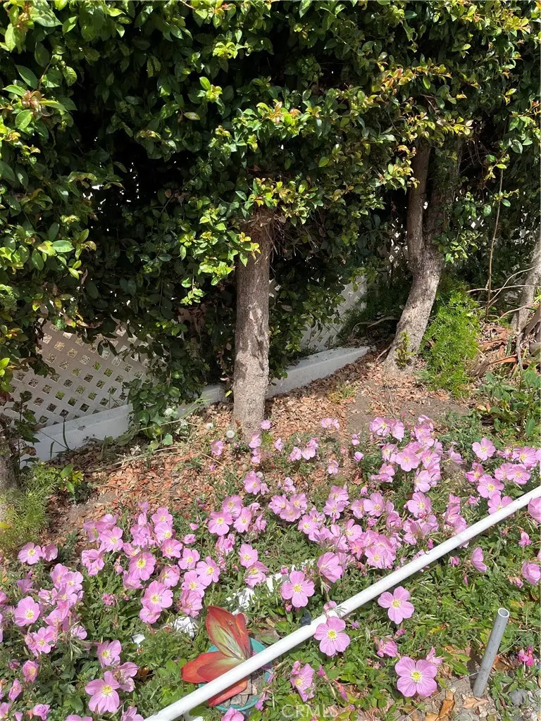 1065 Lomita Boulevard #250, Harbor City, CA 90710 - #3