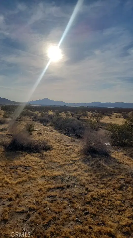 0 Bellflower, Adelanto, CA 92301
