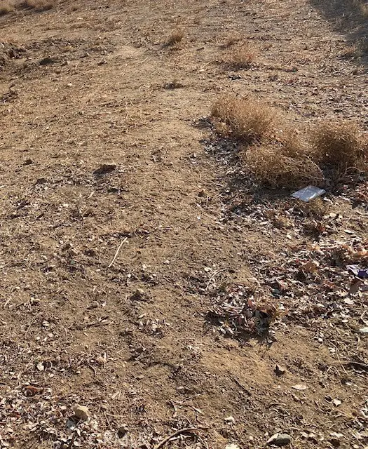 65 E Avenue G-12, Lancaster, CA 93535 - #1