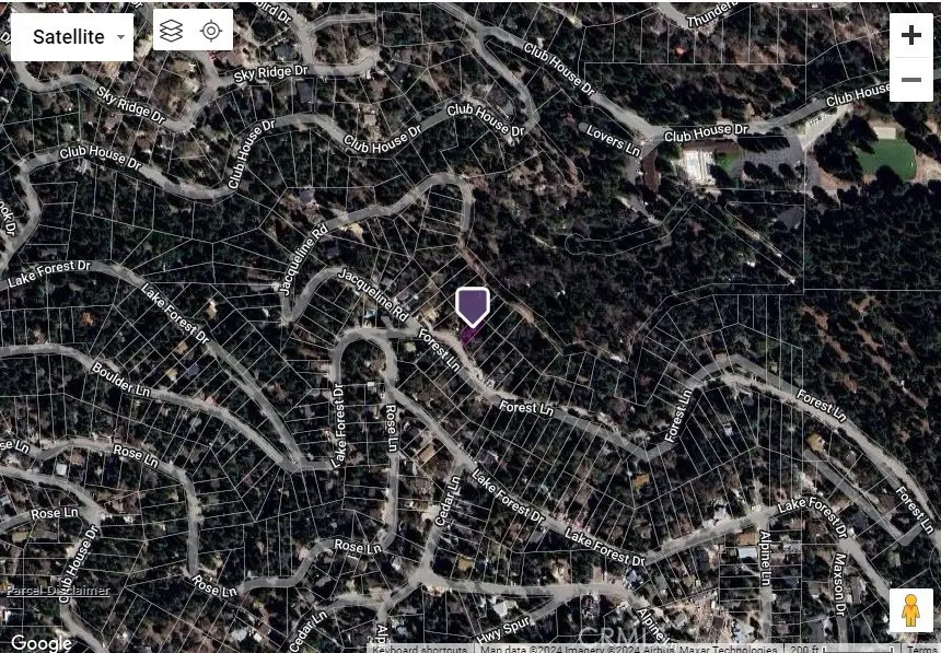 0 Forest Lane, Twin Peaks, CA 92391 - Image #2