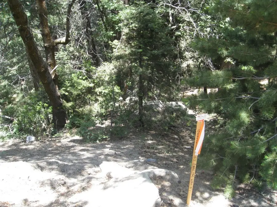 0 Forest Lane, Twin Peaks, CA 92391 - Image #3