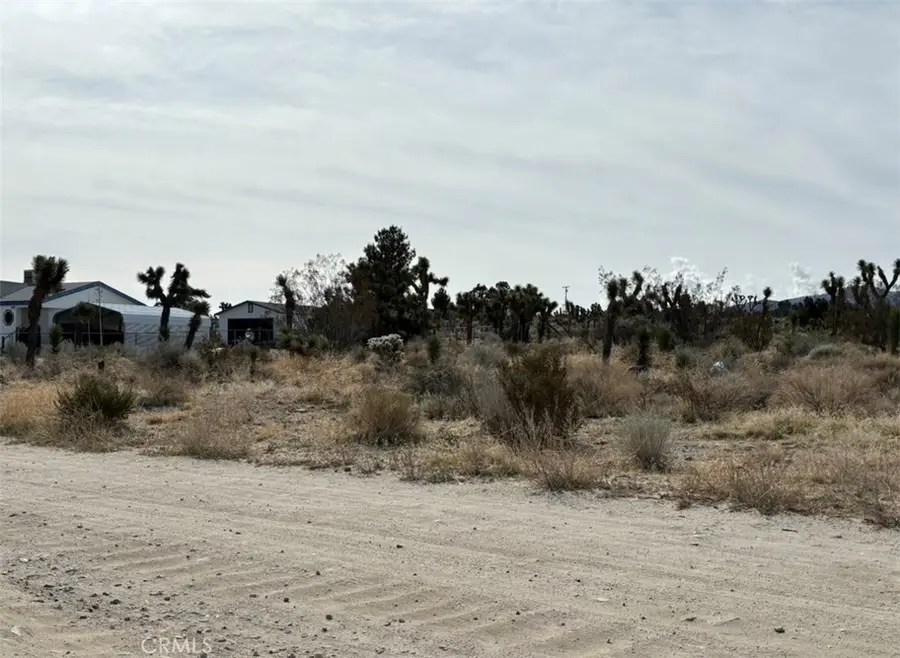 0 Mono Road, Pinon Hills, CA 92372 - Image #2