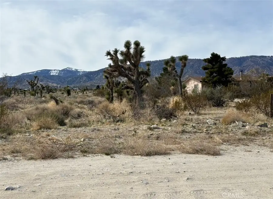 0 Mono Road, Pinon Hills, CA 92372 - Image #3