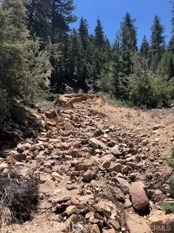 0 Rainbow Lane, Angelus Oaks, CA 92305 - Image #2