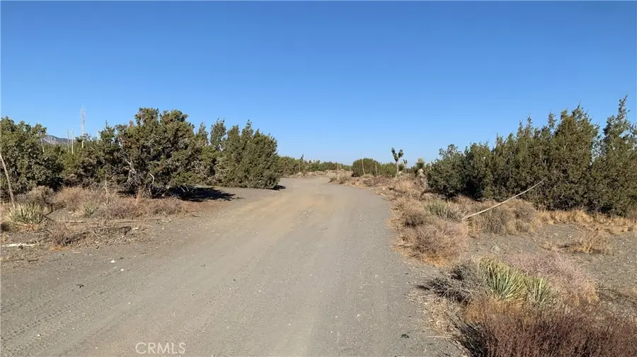 0 Yucca Terrace, Pinon Hills, CA 92372 - Image #2