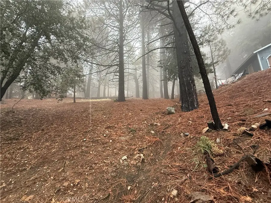 0 Poplar, Running Springs, CA 92382 - Image #2