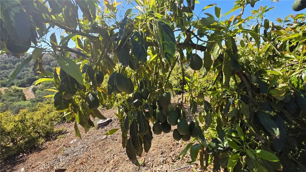 0 Via Barranca, Temecula, CA 92590 - #1