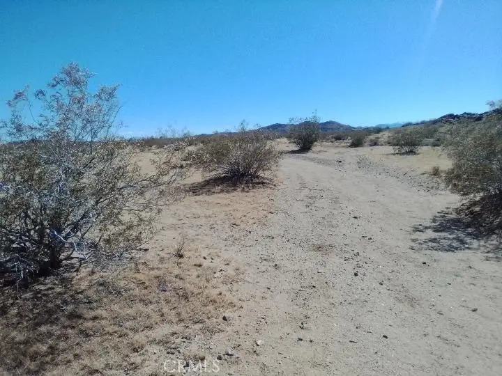 60820 Summers, Landers, CA 92285 - #3