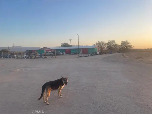49645 Silver Valley Road, Newberry Springs, CA 92365