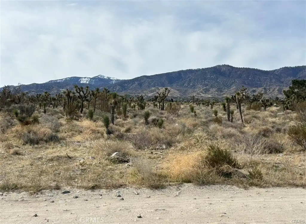 0 Mono Road, Pinon Hills, CA 92372 - #1