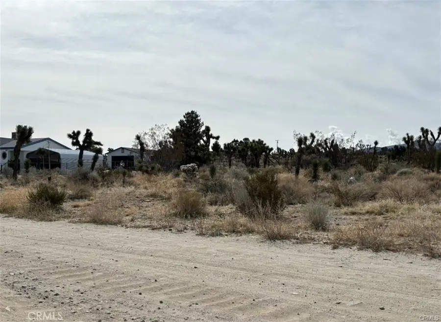 0 Mono Road, Pinon Hills, CA 92372 - #2