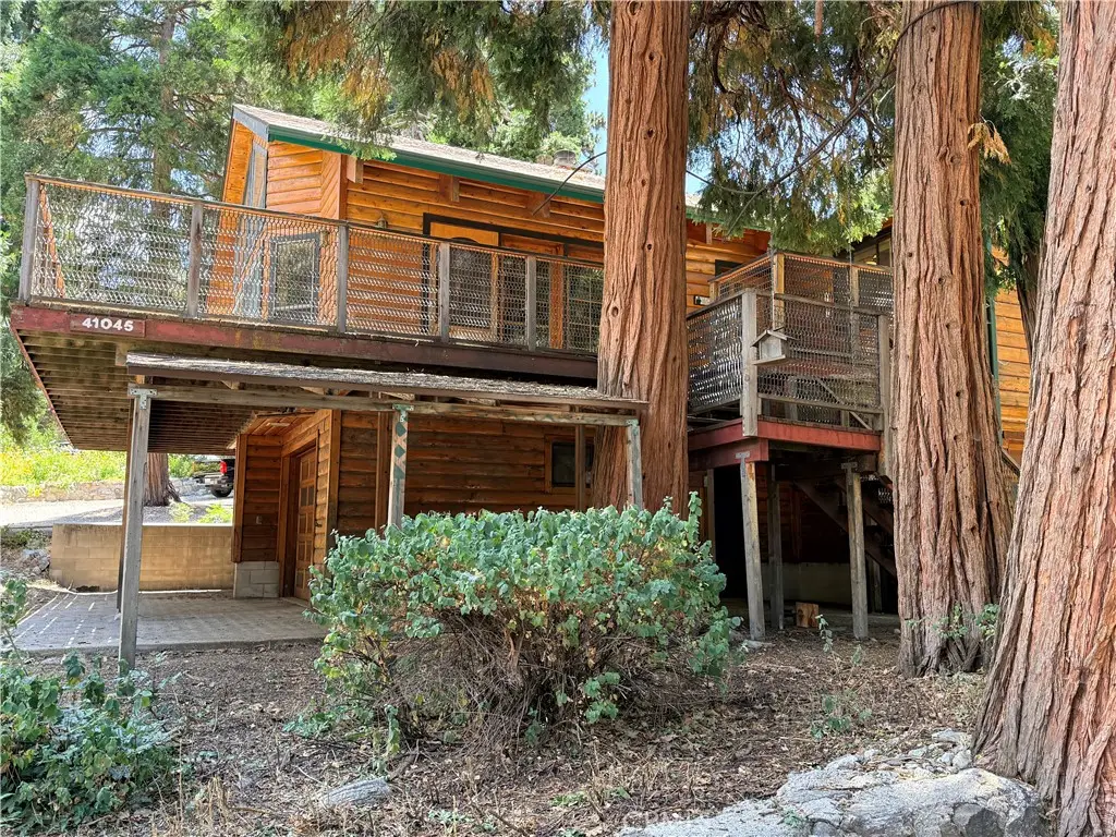 41045 Valley Of The Falls, Forest Falls, CA 92339 - #1