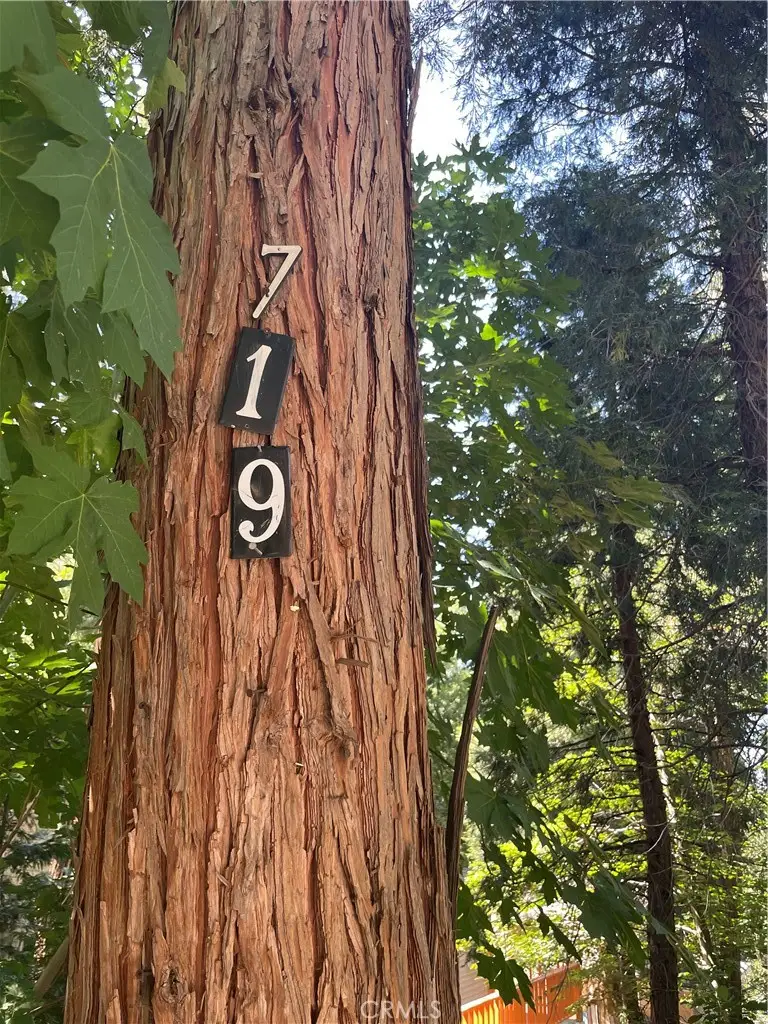 719 Woodland Road, Crestline, CA 92325 - #2