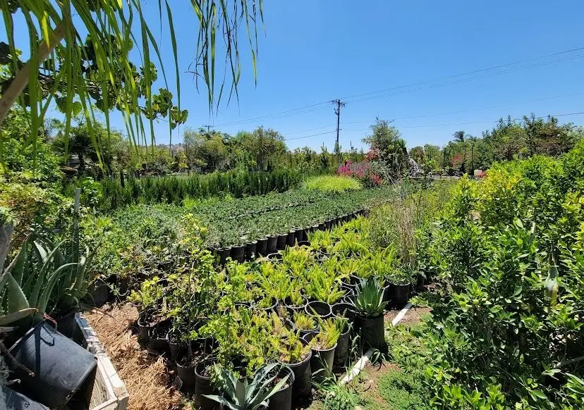 9045 56th Street, Jurupa Valley, CA 92509 - #3